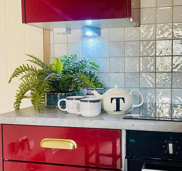 New, Unique, Tiny House With Garden Holiday home Wigston